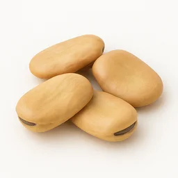 Bakla