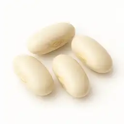 Kuru Fasulye
