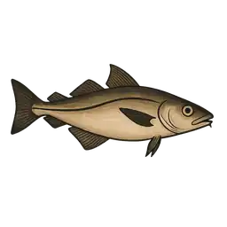 Haddok