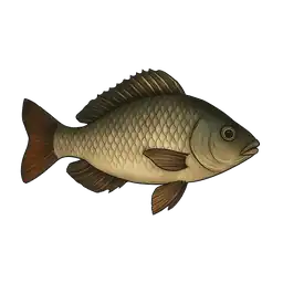 Tilapia