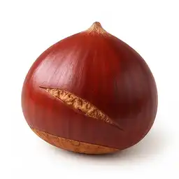Kestane