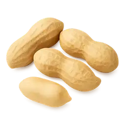 Fıstık